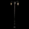 Парковый светильник Loft IT Tremezzo 100019/2200 BS