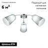 Потолочная люстра EVOLUCE MALEONTE SLE103002-03
