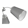 Потолочная люстра EVOLUCE MALEONTE SLE103002-03